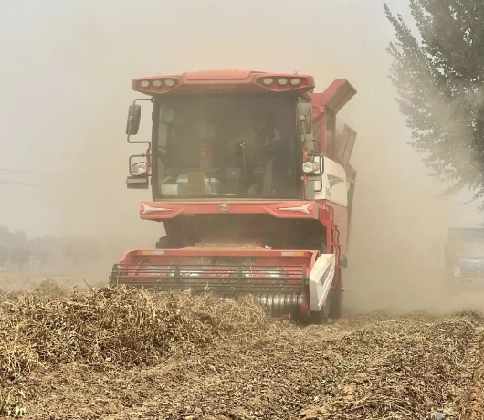 从麦客到花生王：渭南拜师傅的跨赛道致富经(图2)