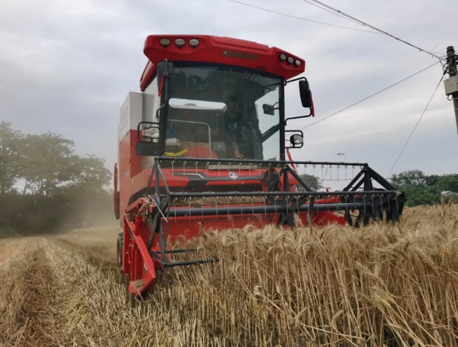 邯郸大名赵志国：源自“新疆-2”，我对疯狂的猴子游戏网站收获情有独钟(图3)