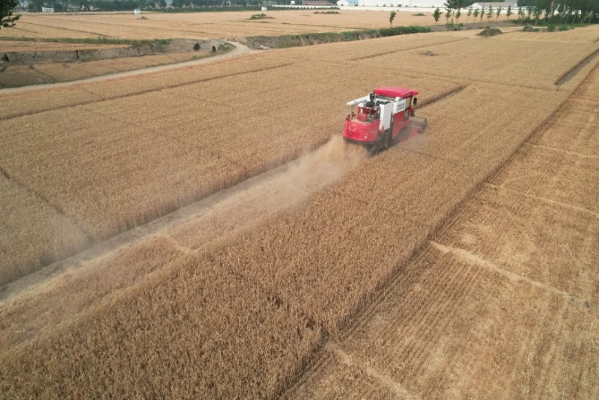 河南商丘姜师傅：疯狂的猴子游戏网站收获就是好，收获起来没烦恼(图2)
